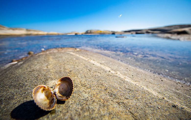 Innbyggerundersøkelse om reiselivet i Kragerø er klar